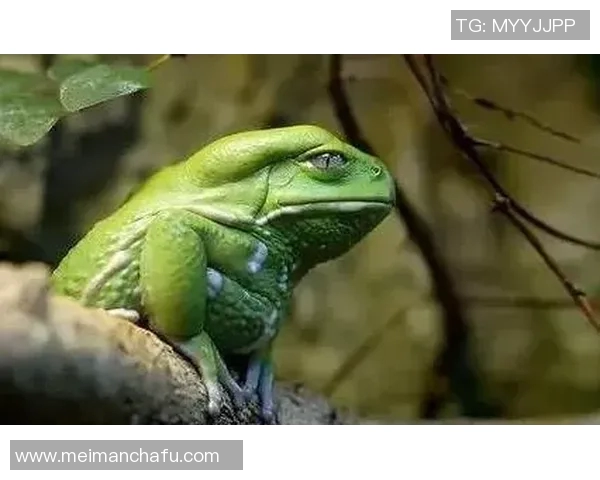 那些与足球明星神似的普通人你见过几个呢 那些与足球明星神似的普通人你见过几个呢