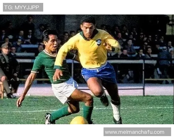 巴西足球历史上的超级明星们及其辉煌成就回顾